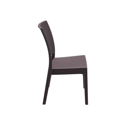 4242020_005_florida_brown_sideSedO69 copy